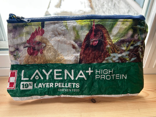 Hand bag -chicken